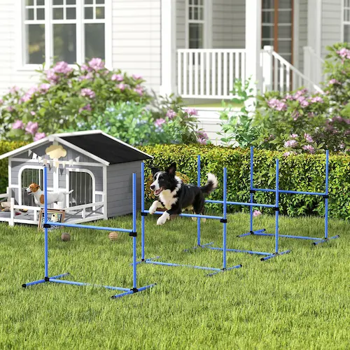 Dogs playing in a supervised outdoor area at a pet daycare in Sharjah