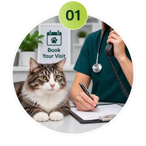 Book a mobile vet visit in Sharjah