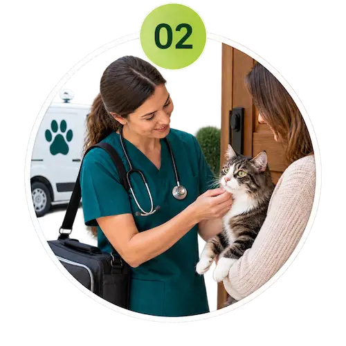 Mobile vet home visit in Sharjah