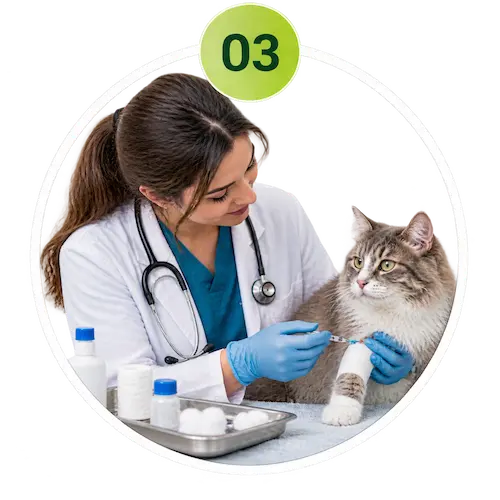 Veterinarian providing immediate treatment to a pet