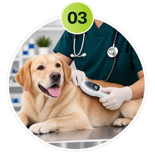 Laboratory testing for pets in Sharjah
