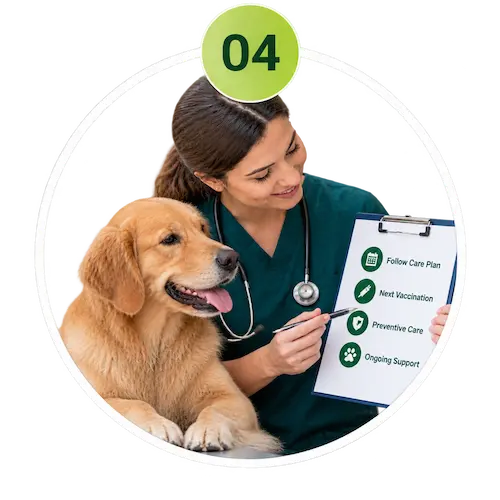 Veterinarian discussing a pet follow-up care plan